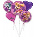 Ballon Set Skye