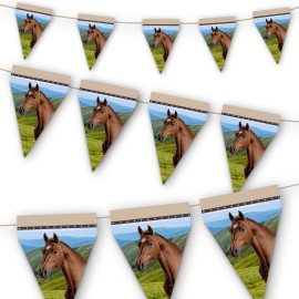 Banderín Caballo y Pony Banderín Caballo y Pony